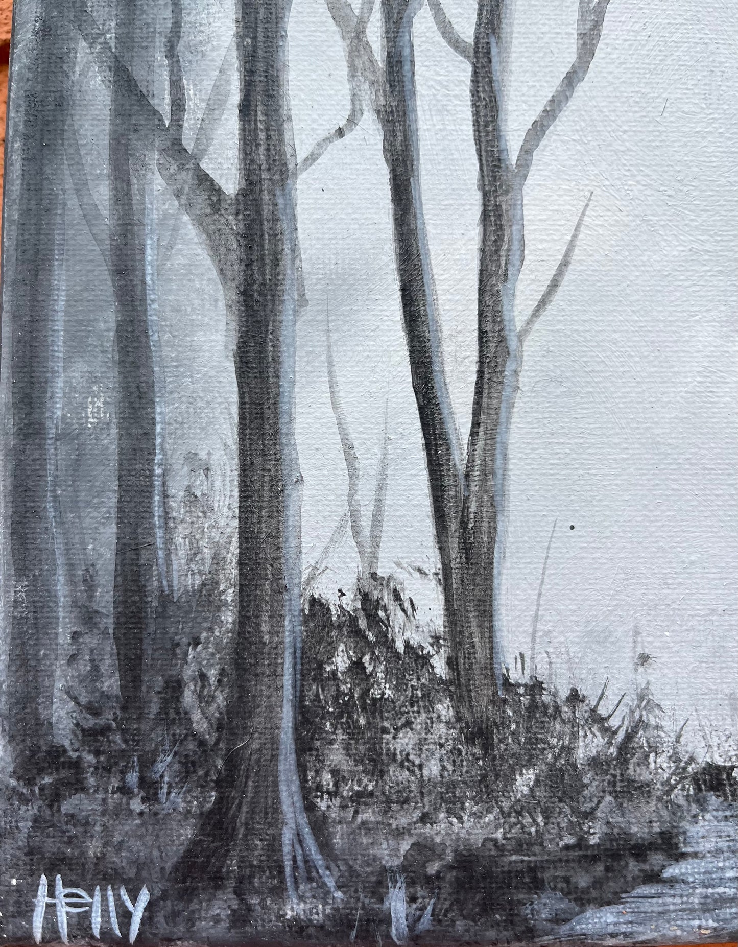 “Monochrome Forest”